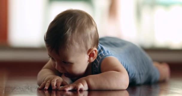 Baby Infant Toddler Learning Crawl Doing Effort Feeling Upset — Vídeos de Stock
