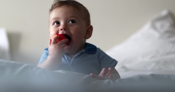 Cute Happy Baby Toddler Waving Arms Putting Red Ball Mouth — Video