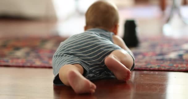 Cute Small Baby Crawling Hardwood Floor Home — Vídeos de Stock