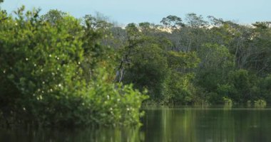 Scenic lake meadows in 4K