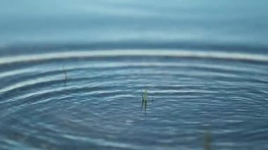 Stone thrown into the water surface at 120fps slow-motion creating water ripples effect