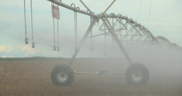 Pivot Sprinkler System Irrigating Crops Irrigation Pivot System Watering Agriculture — 비디오