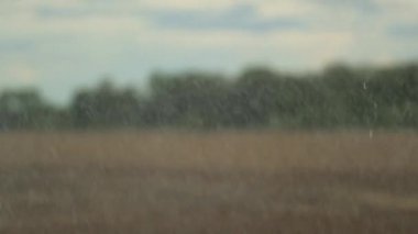 Irrigating crop fields water water sprinkler irrigation in 120fps