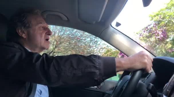 Senior Older Man Holding Steering Wheel Driving Casually — Stockvideo