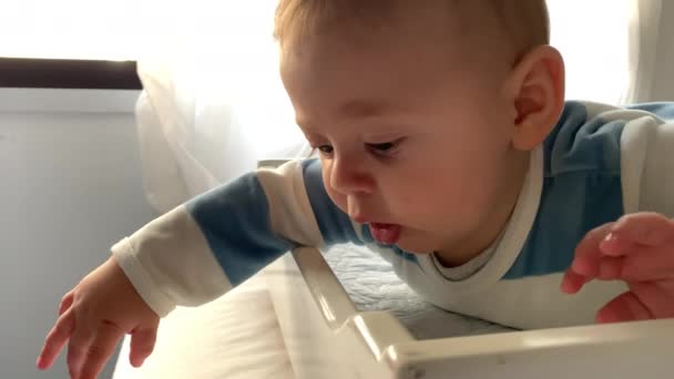 Cute Baby Infant Boy Looking Exploring World — Vídeo de stock