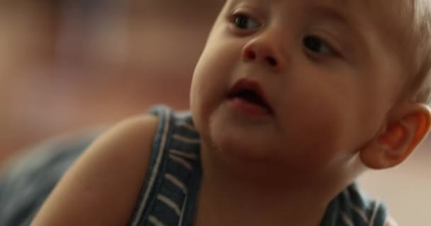 Toddler Baby Boy Observing Looking World Discovering Life — Vídeo de Stock