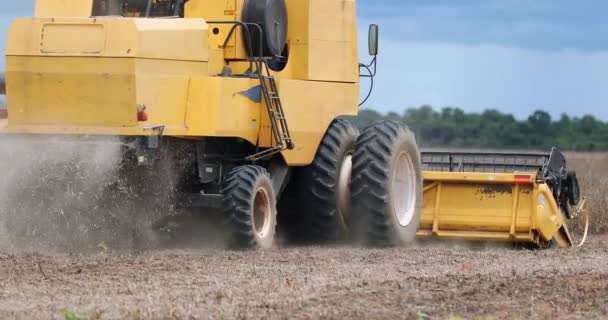 Тракторне Збирання Сільськогосподарського Поля Сої — стокове відео