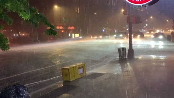 Derramando Chuva Cidade Noite — Vídeo de Stock