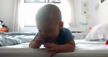 Cute baby toddler infant in bed at home biting blanket