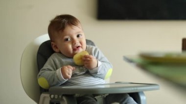 Baby seated at highchair eating apple fruit at home