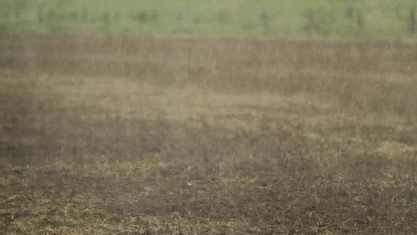 Water Droplets Falling 120Fps Slow Motion Ground Irriating Crop Agriculture — Vídeos de Stock