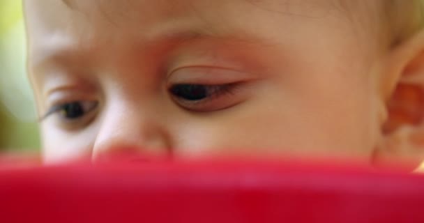 Closeup Baby Infant Eyes Looking Discovering Exploring World — 비디오