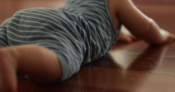 Adorable Baby Toddler Learning Crawl — Vídeo de Stock