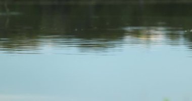 Scenic lake water surface in 4K