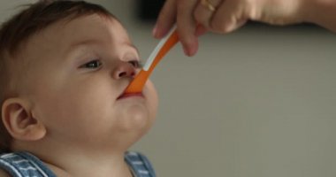 Feeding baby infant toddler boy seated at highchair