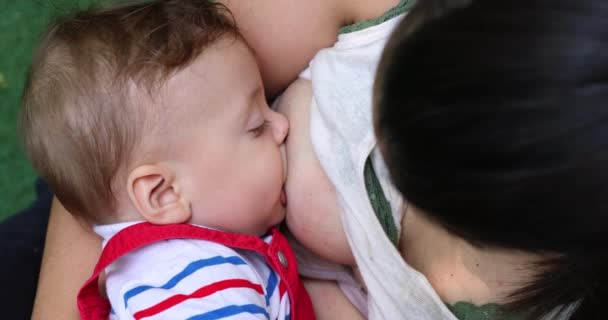 Mom Breastfeeding Baby Infant Son — Video