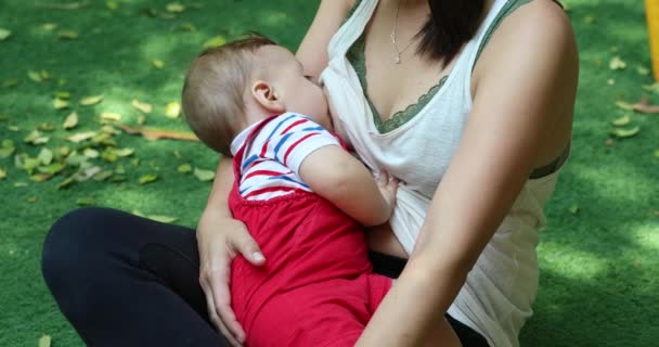 Mother Breastfeeding Natural Setting — ストック動画