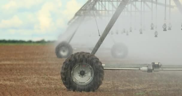 Pivot Sprinkler System Irrigating Crops Irrigation Pivot System Watering Agriculture — Stock videók