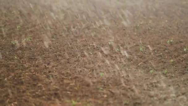 Water Droplets Falling 120Fps Slow Motion Ground Irrigating Crop Agirculture — Stockvideo