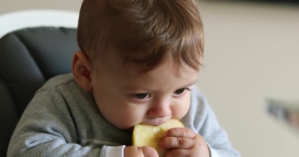 Criança Bebê Bebê Tomando Uma Mordida Uma Fruta Maçã — Vídeo de Stock