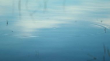 Clear water lake surface