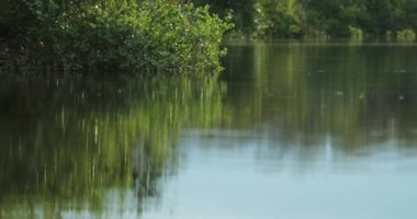 Scenic lake meadows reflection in 4K