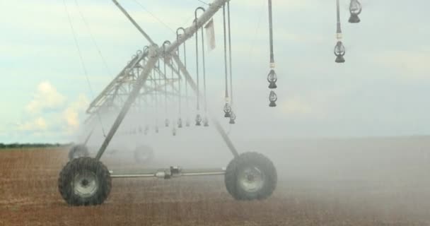 Pivot Sprinkler System Irrigating Crops Irrigation Pivot System Watering Agriculture — Video