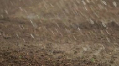 Water droplets falling in 120fps slow-motion into ground irrigating crop agirculture fields