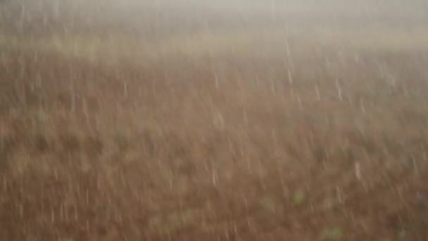 Water Droplets Falling 120Fps Slow Motion Ground Irrigating Crop Agirculture — Stockvideo