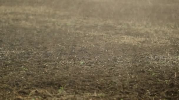 Wassertropfen Die Zeitlupe Den Boden Fallen Und Landwirtschaftliche Felder Bewässern — Stockvideo
