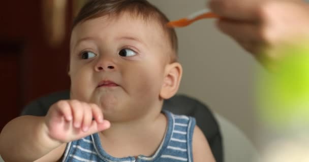 Parent Feeding Baby Boy Toddler Highchair — Vídeo de Stock