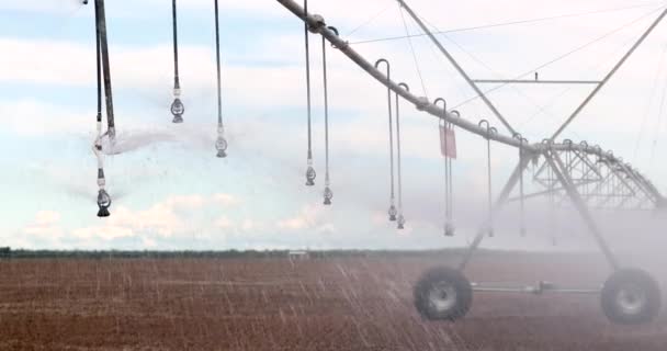 Pivot Sprinkler System Irrigating Crops Irrigation Pivot System Watering Agriculture — Stok video