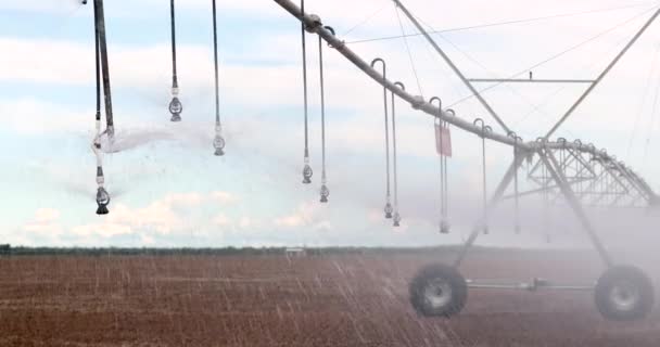 Pivot Sprinkler System Irrigating Crops Irrigation Pivot System Watering Agriculture — Vídeo de Stock