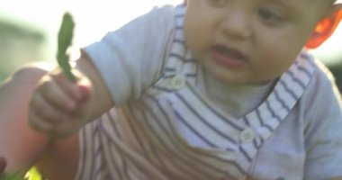 Baby toddler grabbing a leaf outside in nature during sunset, infant discovering the world