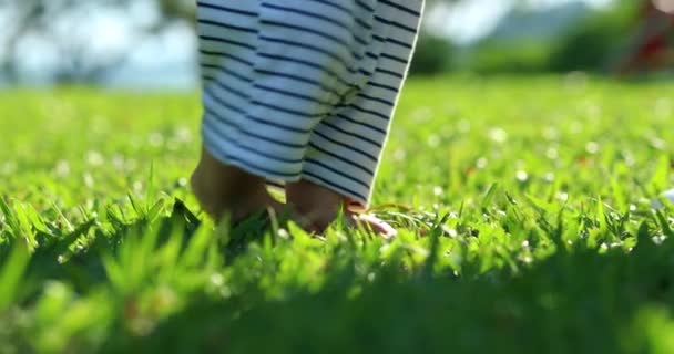 Baby Toddler Footsteps Nature — Vídeo de Stock