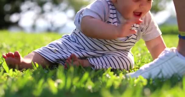 Baby Toddler Boy Ground Touching Adult Leg Nature — 비디오