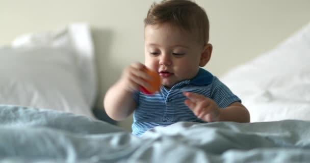 Happy Adorable Baby Boy Toddler Looking Ball Infant Smiling Laughing — Video