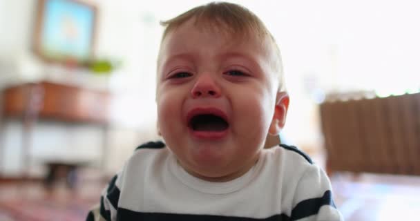 Baby Boy Tantrum Infant Toddler Crying Toddler Seeking Support — Stock Video