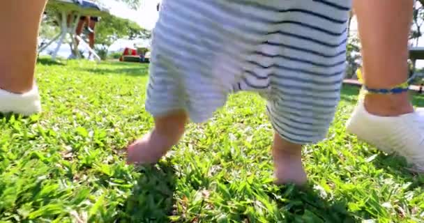Baby Steps Outdoor Nature Toddler Infant Standing Grass — Stock video