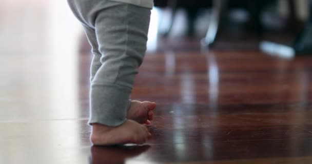 Дитячі Ноги Вчаться Ходити Вдома Приміщенні Дерев Яній Підлозі Дитячий — стокове відео