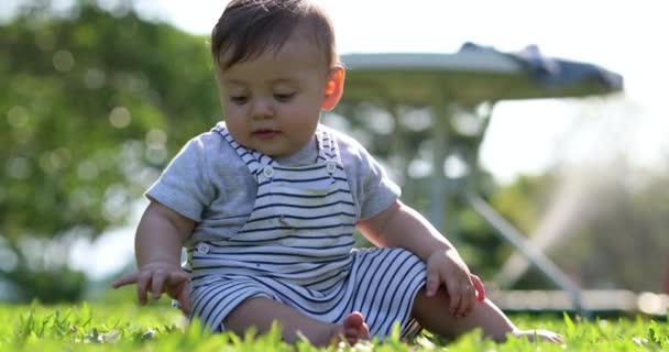 Дитячий Малюк Зовні Природі Збирає Лист Щасливим Почуттям Щасливого — стокове відео
