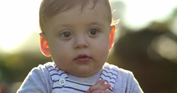 Handsome Portrait Baby Toddler Child Nature Sunset — Video Stock