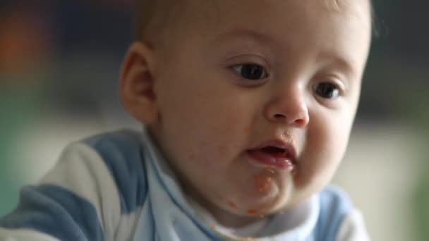 Parent Feeding Sweet Baby Toddler Meal Portrait — Video Stock