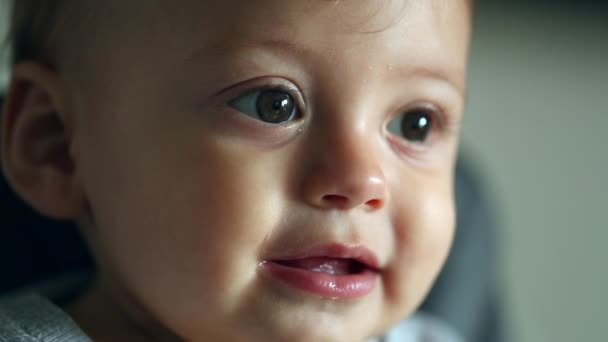 Baby Infant Child Face Portrait Observing Looking — Vídeo de stock