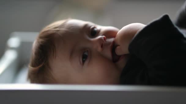 Счастливый Мальчик Младенец Малыш Улыбается Чувствуя Волнение — стоковое видео