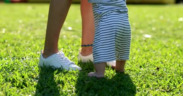 Baby Toddler Holding Mother Legs Park — Stockvideo
