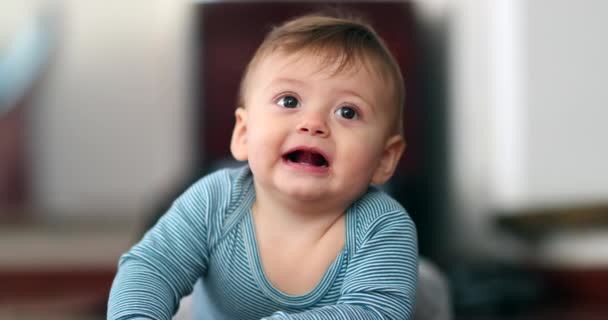 Cute Baby Toddler Portrait Face Portrait — Stok video