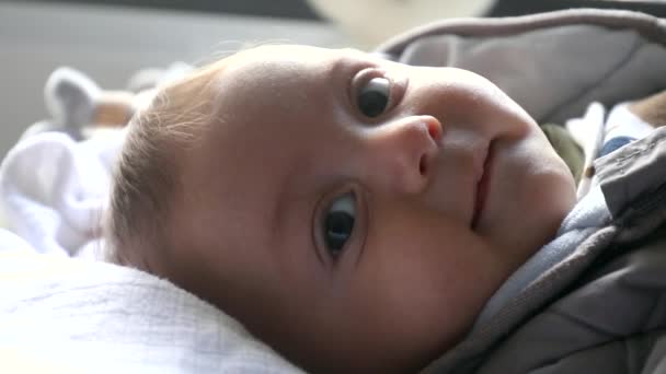 Sweet Cute Baby Infant Looking Camera — Vídeos de Stock