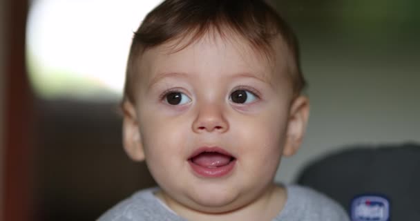 Портрет Младенца Младенца Первые Месяцы Жизни — стоковое видео