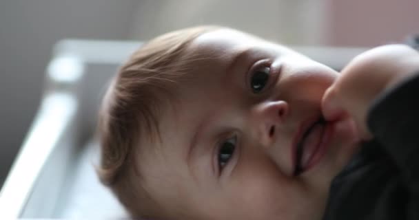 Happy Cute Baby Infant Toddler Boy — Stockvideo